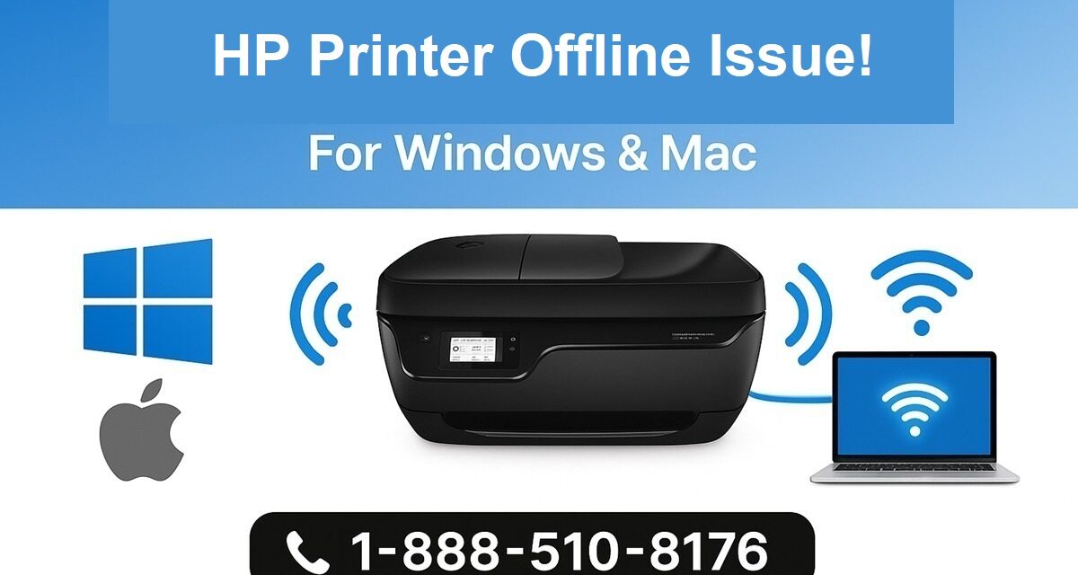 HP Printer Offline