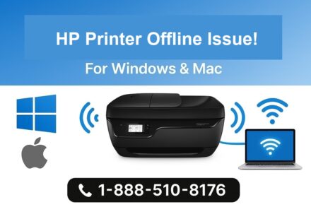 HP Printer Offline