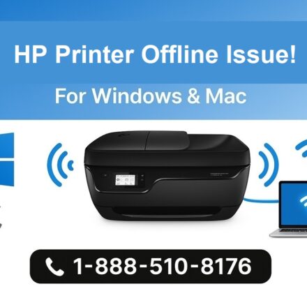 HP Printer Offline