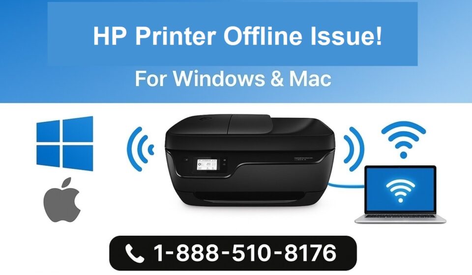 HP printer