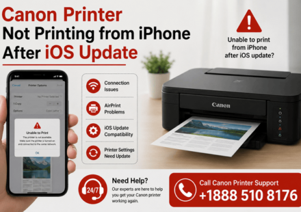 Canon Printer Not Printing
