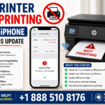 HP Printer Not Printing