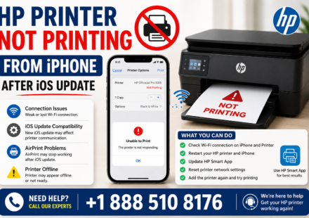 HP Printer Not Printing