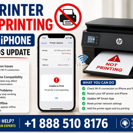 HP Printer Not Printing