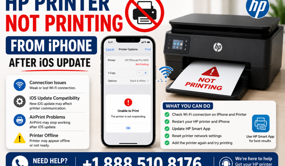 HP Printer Not Printing